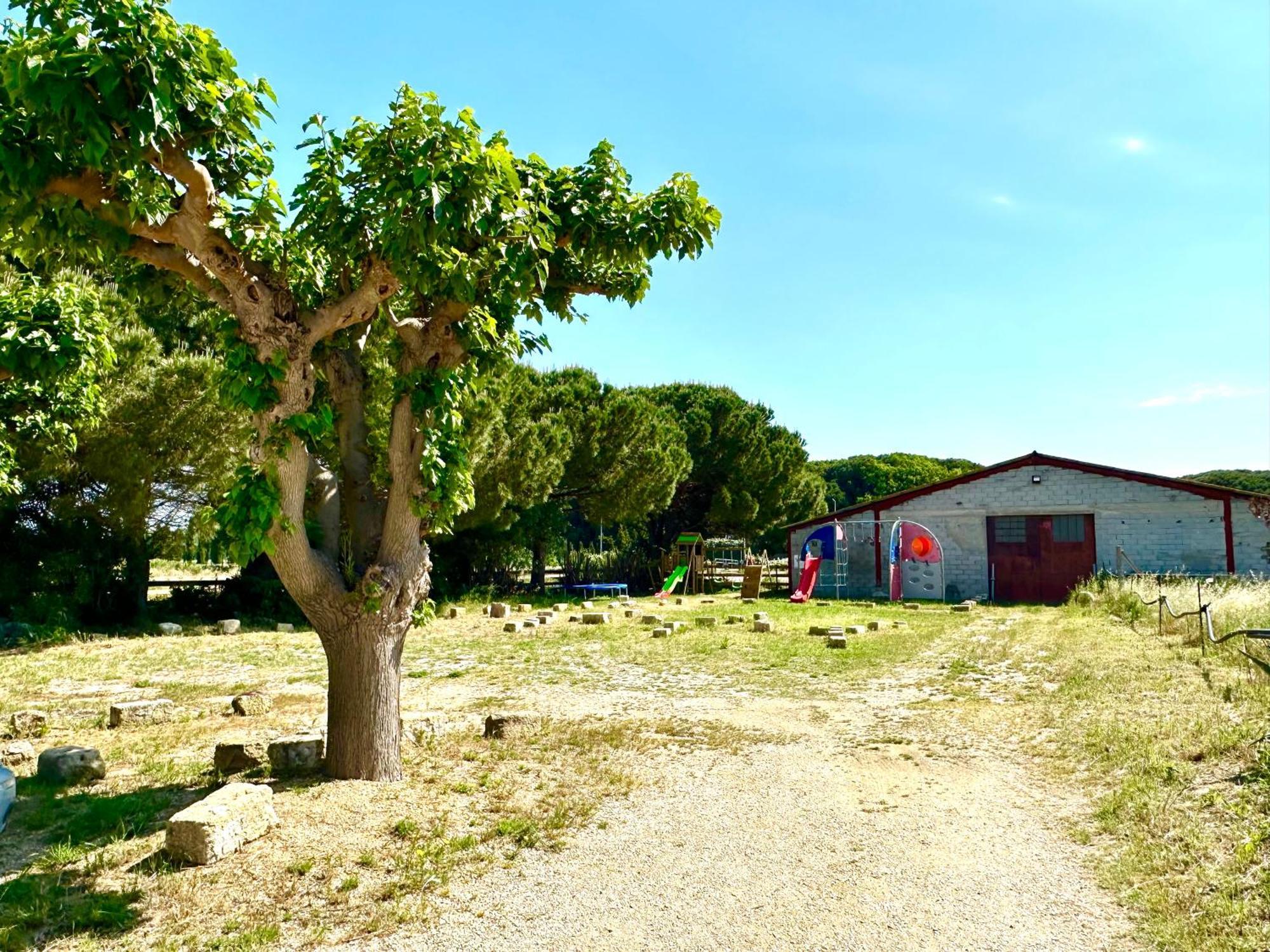 Les Appartements Du Mas - Rose Marie Aigues-Mortes Kültér fotó